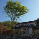 봉수산숲펜션 이미지