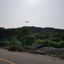 경북 칠곡 도지산(왜관422, 지천면) 이미지