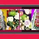 제일장례토탈서비스 - 서귀포시 칠십리로 258 | 제일장례토탈서비스