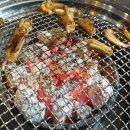 태중산아나고곰장어 이미지