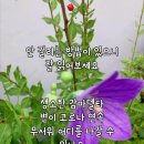 신수철님 코로나 예방법 공개 이미지