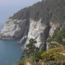 초당약품 이미지