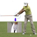 올바른골프연습장 이미지