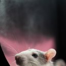 골프존파크 금곡 미금역점 이미지