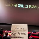 코끼리옛날짜장 | 사랑은 위험해 실패율 백퍼센트