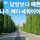 (주)내꺼 전남연구소 | 광주 근교 힐링 여행지🌲🌲🌲 전남 산림자원연구원 메타세쿼이아길 후기