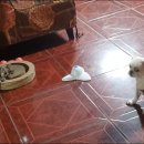 룰루랄라노래연습장 이미지