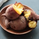 더쉐입PT 이미지