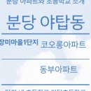 야탑로231번길 이미지