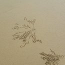 풀등이야기 이미지