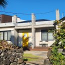 느영나영고치 이미지