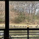 블라썸모먼트 이미지