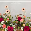 🌸 [리빙플라워클럽 후기]