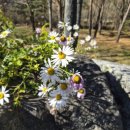 용대1리 | 25년 인제군 크리에이투어 <인제부터힐링타임> 후기 &amp; 가평군체험휴양마을협의회 업무협약