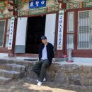한반도태권도 | 영월 당일치기 여행 코스 제58회 단종문화제
