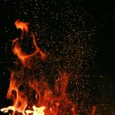 사랑나눔 이천푸드마켓 | 똑소리 나는 푸드뱅크 마켓 쇼핑 가이드: 식품 및 생활용품 나눔