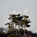 송림여인숙 이미지