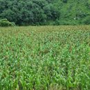 지에프월드 영농조합법인 이미지