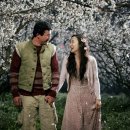 너는내운명 이미지