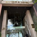 캐리어에어컨 건너편 | 다낭 0.5박 숙소 아보라호텔 비추천 솔직 후기(슈페리어 더블룸)