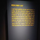 서진금박