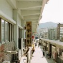 올리브상가 네이버블로그