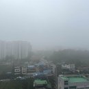 조치원읍도서관 이미지