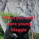 When you ans I were young Maggie 이미지