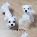 엠케이그루밍샵 이미지