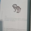 삼족구