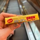 이스톤 의원 | 여름휴가 제주도 2박3일