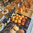 컴포즈커피 파주운정해솔마을점 | 가성비 좋은 커피와 소금빵 맛집으로 추천 l 운정 호수공원 카페 '스토리오브라망(Lamant)'