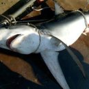 동삼1동-9 이미지