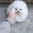 도봉-도봉-2011 이미지