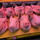 우시장가게 이미지