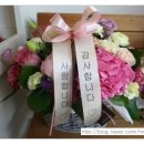 제인이좋아 이미지