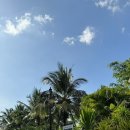 재박이네 이미지