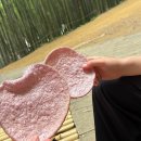 구두119 운동화빨래방 | [내돈내산] 담양 죽녹원 완벽 가이드! 입장료·주차·할인·포토존 총정리 🎋