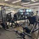 바디디자인 이미지