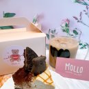 Mollo(몰로)