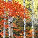 영양군환경자원센터 이미지