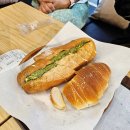 지축오투동물의료센터 | 일상/일주일기_드레스투어 그리고 큰 브레이크 시작_250915~250921