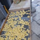 바리엘리네