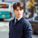 사랑스럽개 이미지