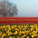 꽃이있는풍경 이미지