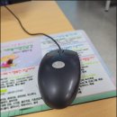 (야간)스마트폰 활용법 이미지