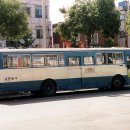 서진운수 이미지