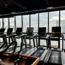 자마이카휘트니스 이미지