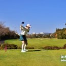 테디벨리 | 제주 테디벨리cc 필드 예약 후기