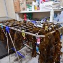 울릉도바닷가 상일펜션 이미지